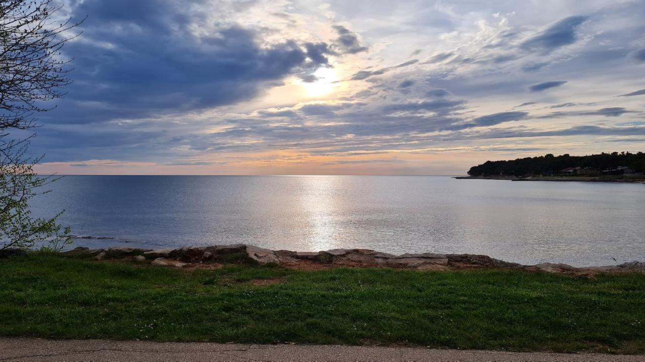Apartments Kivi Novigrad  Luaran gambar