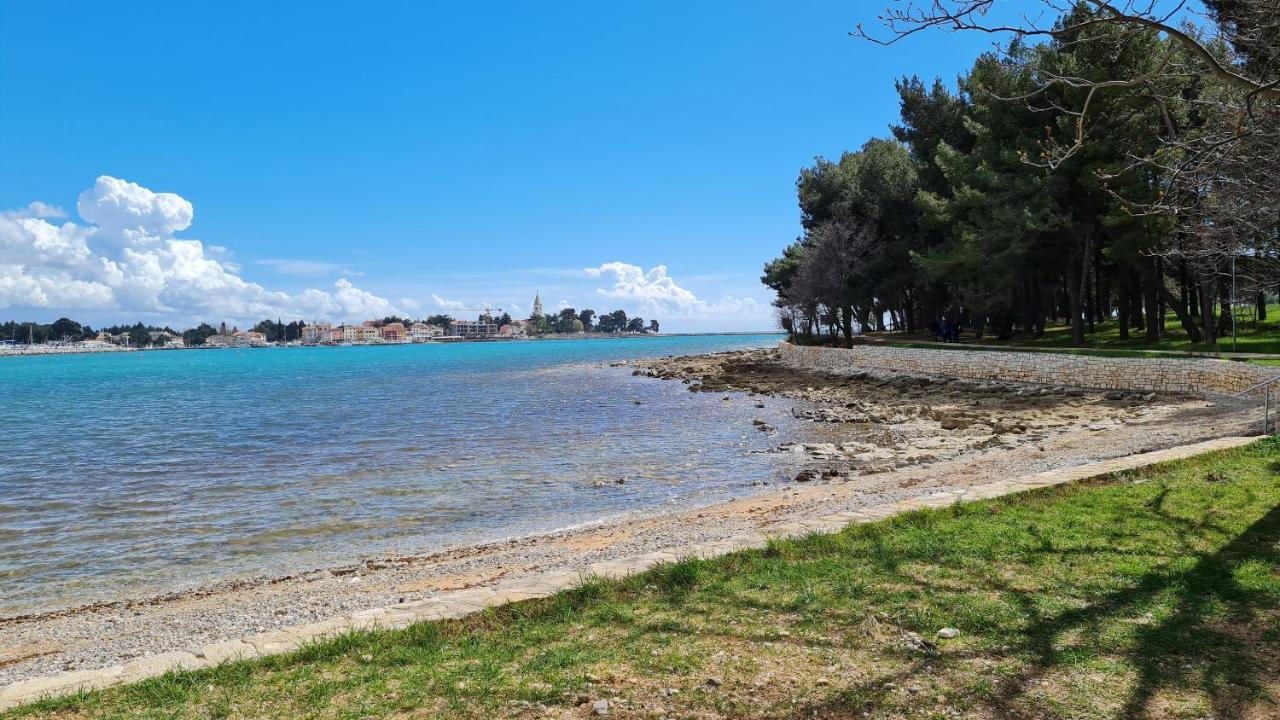 Apartments Kivi Novigrad  Luaran gambar