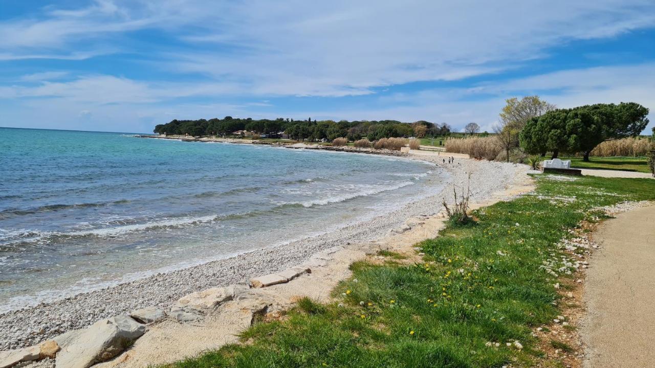 Apartments Kivi Novigrad  Luaran gambar