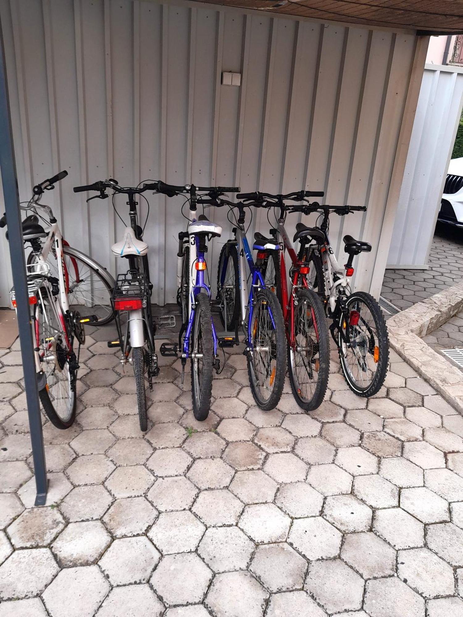 Apartments Kivi Novigrad  Luaran gambar