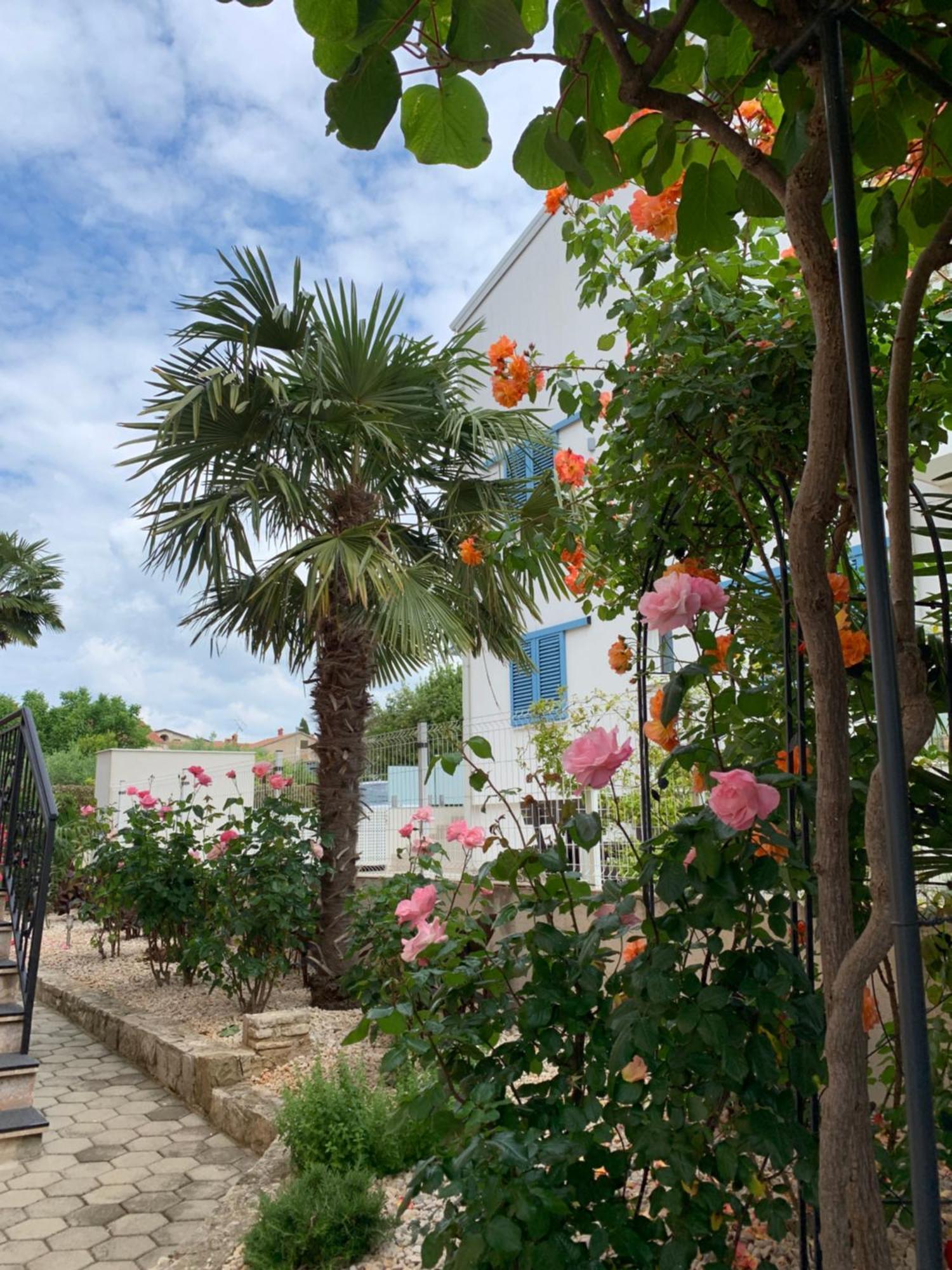 Apartments Kivi Novigrad  Luaran gambar