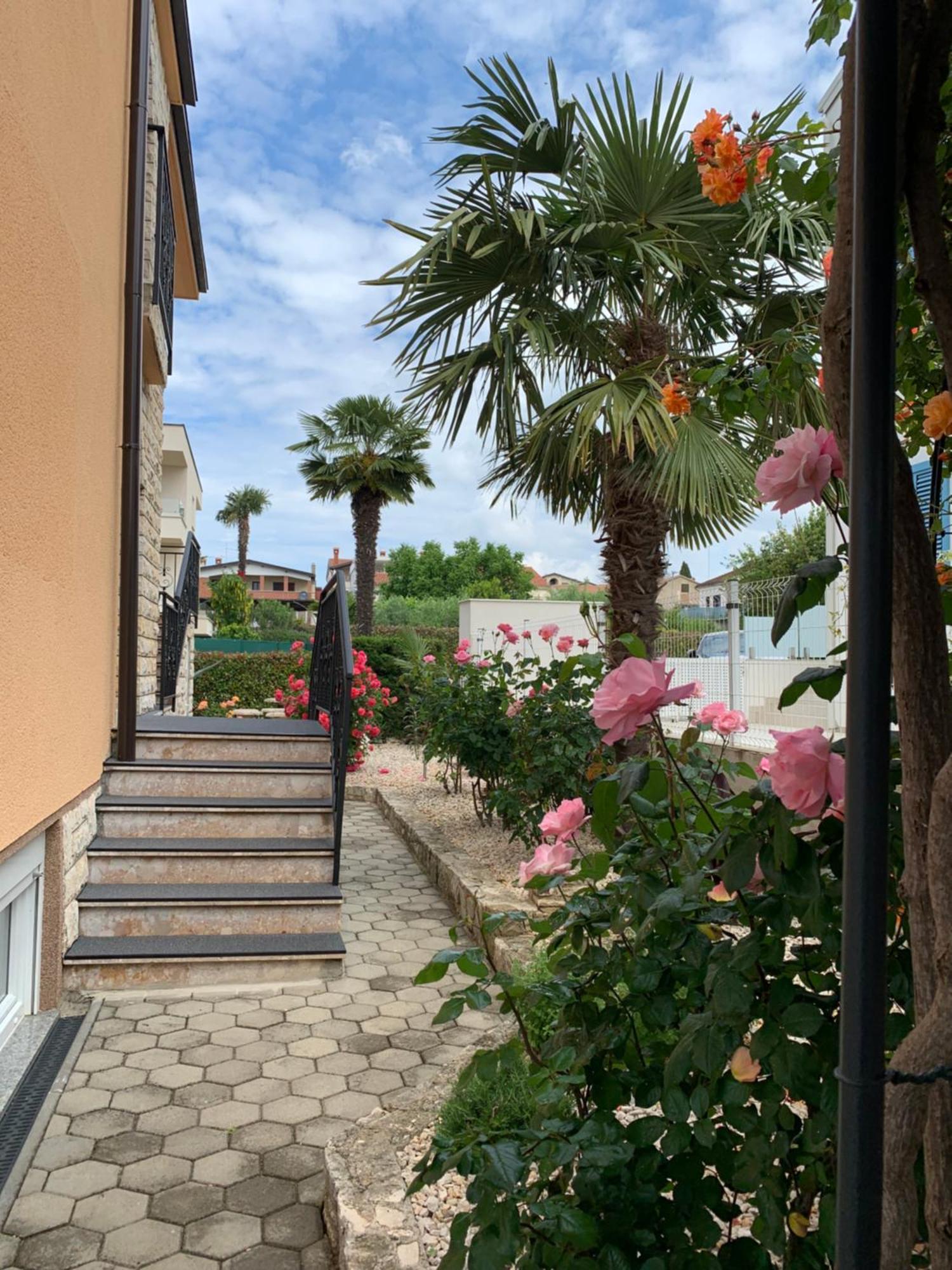 Apartments Kivi Novigrad  Luaran gambar