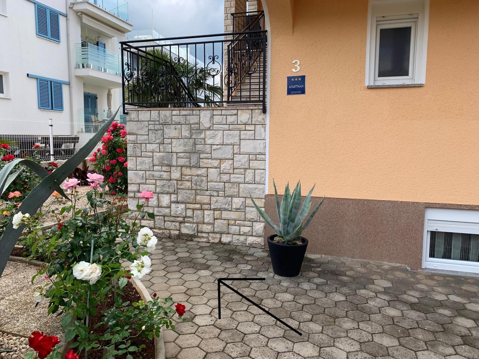 Apartments Kivi Novigrad  Luaran gambar