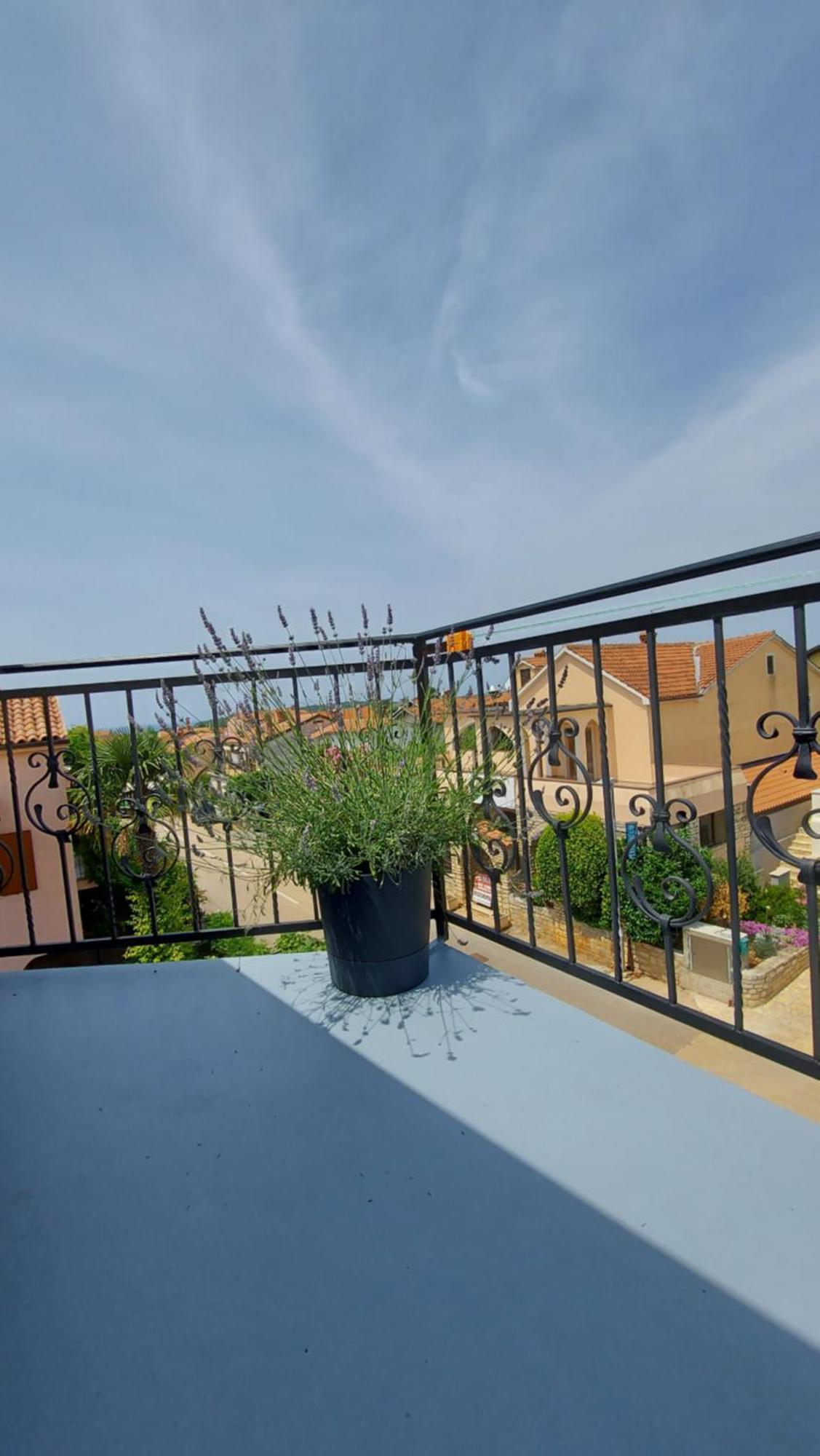 Apartments Kivi Novigrad  Luaran gambar